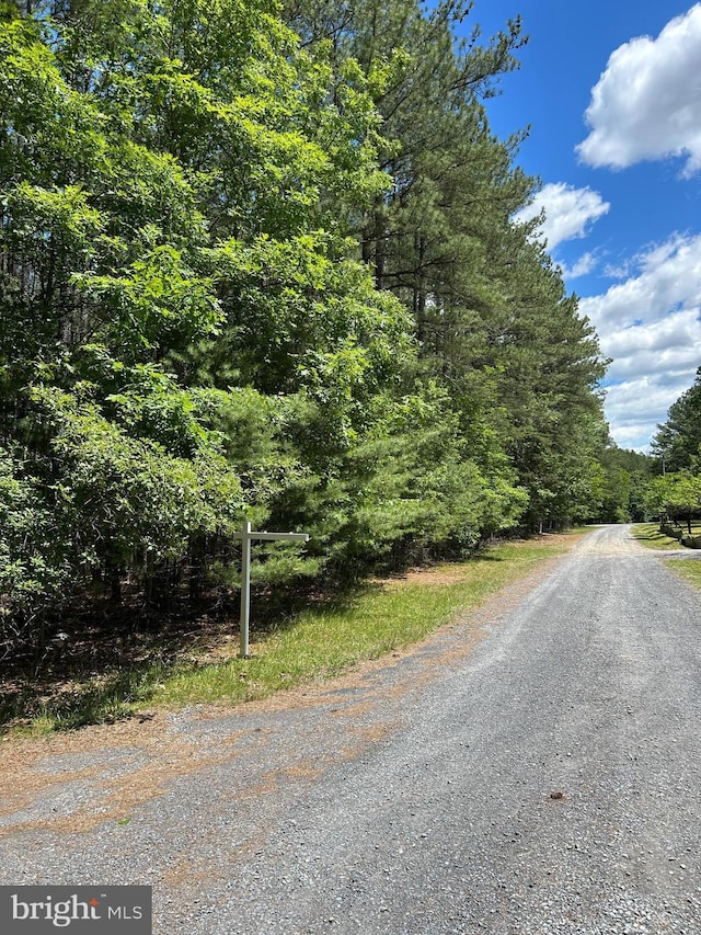 76 Red Burke Ct, Front Royal, VA 22630 - view of dirt / gravel road with a wooded view