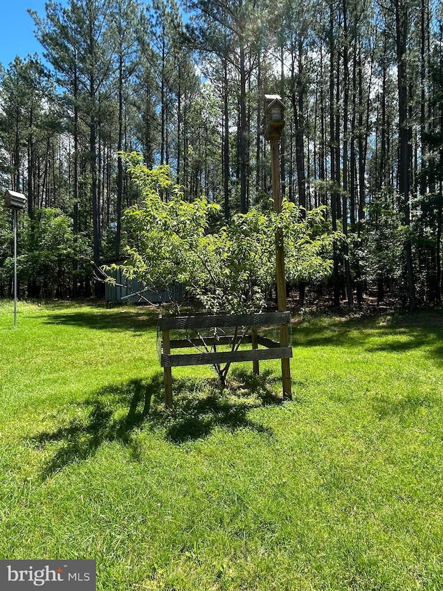 76 Red Burke Ct, Front Royal, VA 22630 - view of green lawn