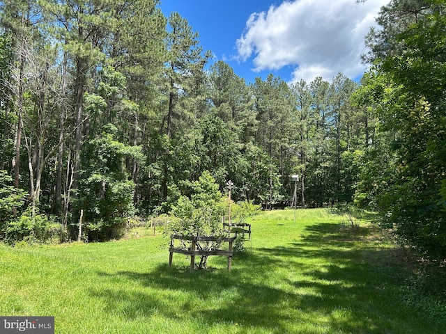 76 Red Burke Ct, Front Royal, VA 22630 - view of green lawn featuring a view of trees