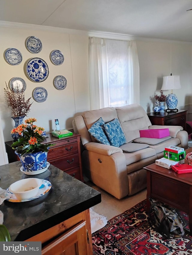 9080 Gold Finch Ct, Hebron, MD 21830 - living room featuring ornamental molding