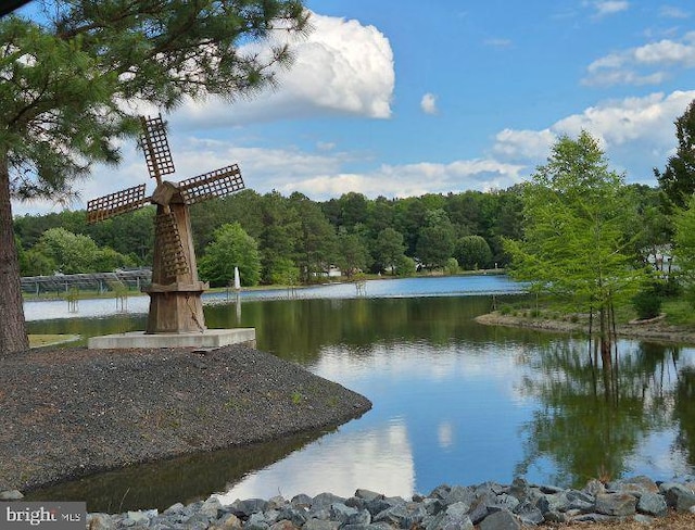 9080 Gold Finch Ct, Hebron, MD 21830 - water view featuring a heavily wooded area
