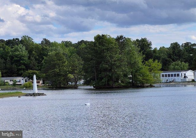 9080 Gold Finch Ct, Hebron, MD 21830 - water view with a forest