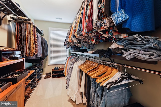 47666 Paulsen Sq, Potomac Falls, VA 20165 - walk in closet with carpet flooring