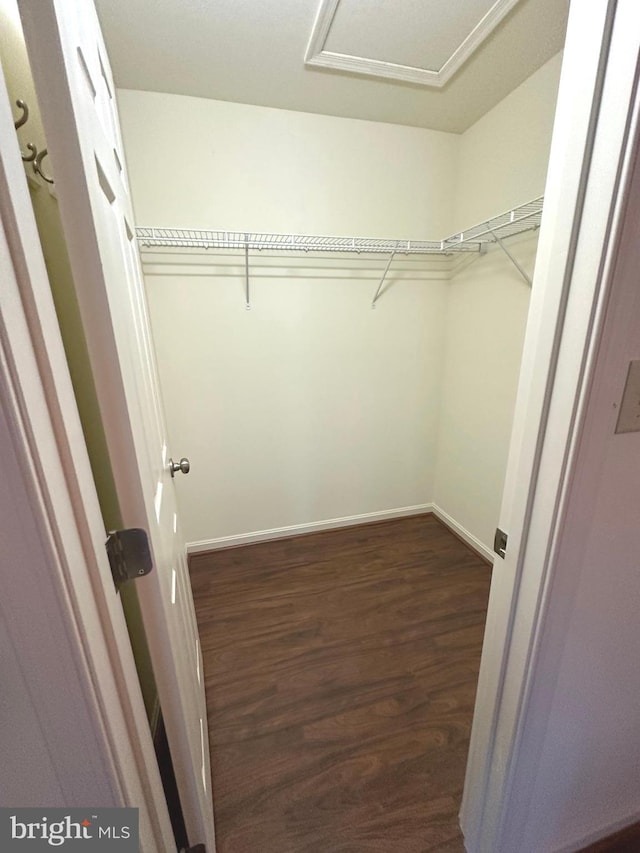 413 Park View Dr, Harrisburg, PA 17110 - spacious closet with attic access and dark wood finished floors