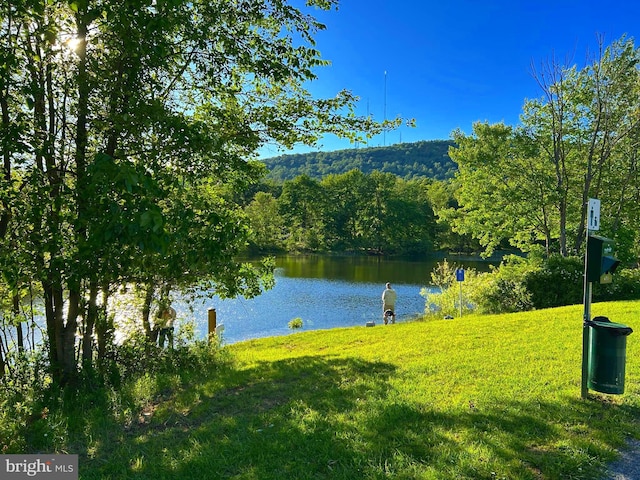 413 Park View Dr, Harrisburg, PA 17110 - water view featuring a forest