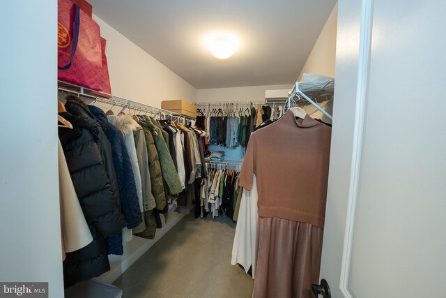 500 Quarry Point Rd, Malvern, PA 19355 - spacious closet featuring carpet