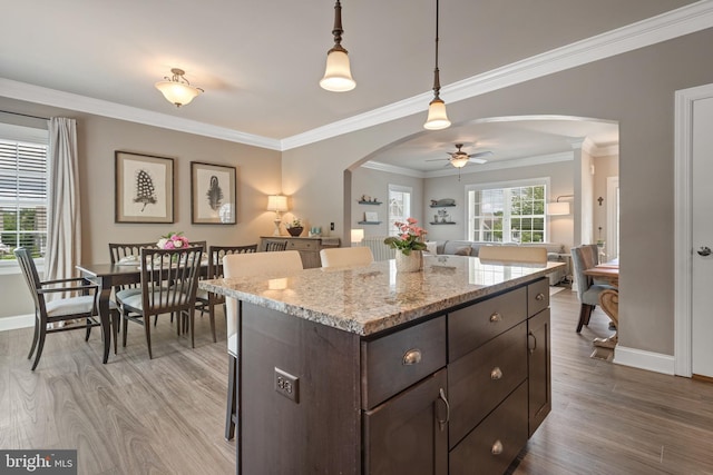 500 Prince George Dr, Lancaster, PA 17601 - kitchen with arched walkways, a ceiling fan, dark brown cabinetry, light wood-style floors, and crown molding