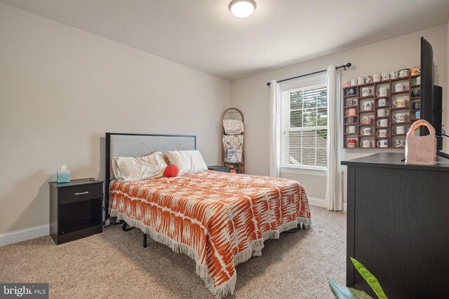 500 Prince George Dr, Lancaster, PA 17601 - bedroom with light carpet and baseboards