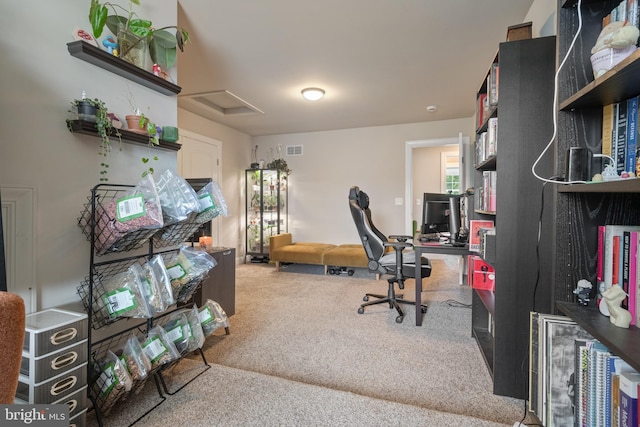 500 Prince George Dr, Lancaster, PA 17601 - carpeted home office featuring attic access