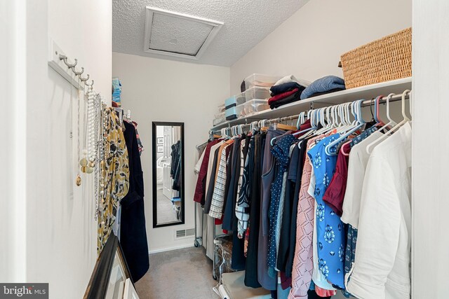 82 Cheverny Ct, Hamilton, NJ 08619 - walk in closet featuring attic access and carpet floors