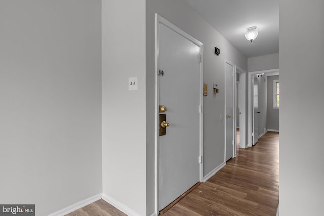 210 Erica Ter, Philadelphia, PA 19116 - hall with wood finished floors and baseboards