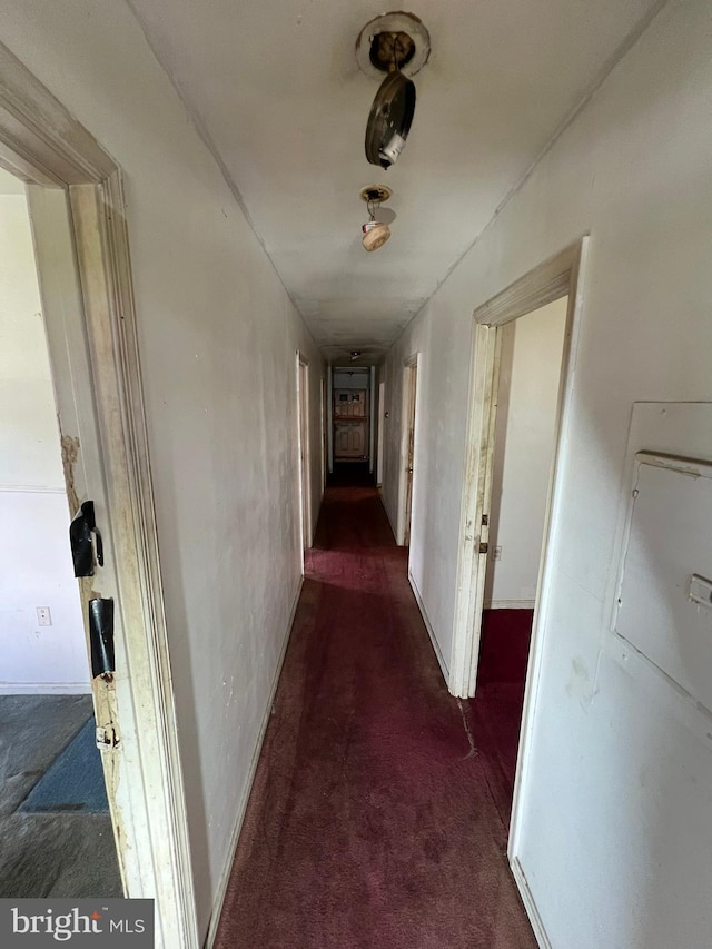 510 62nd Ave, Capitol Heights, MD 20743 - hallway with carpet floors