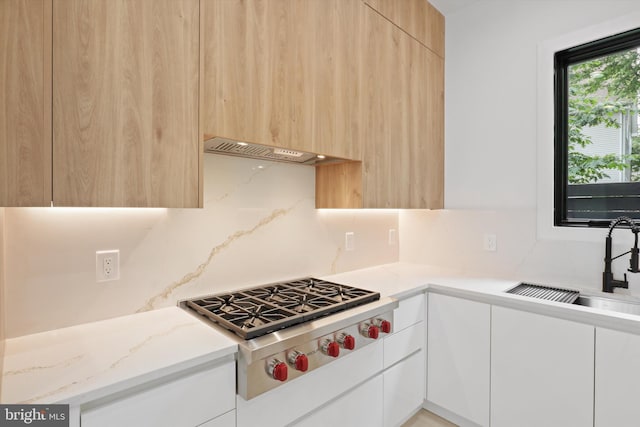 2007 S Joyce St, Arlington, VA 22202 - kitchen featuring stainless steel gas stovetop, modern cabinets, premium range hood, and a sink