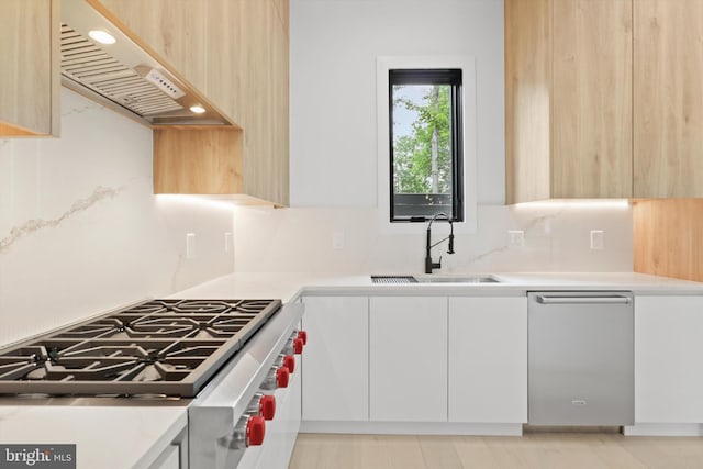 2007 S Joyce St, Arlington, VA 22202 - kitchen with ventilation hood, modern cabinets, appliances with stainless steel finishes, light countertops, and a sink