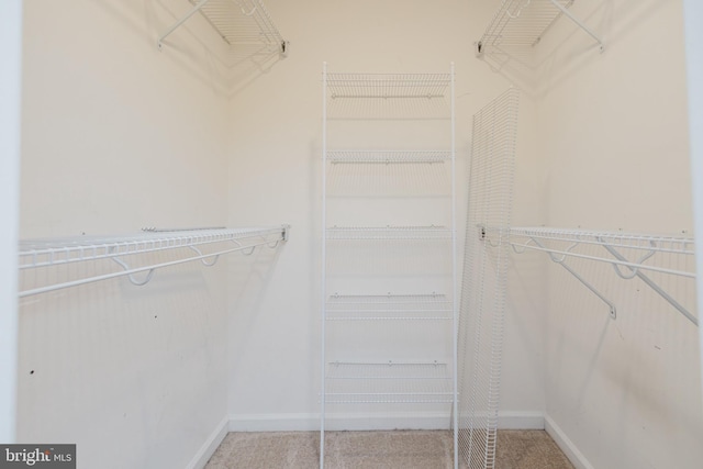 103 Stadium Cir, Inwood, WV 25428 - spacious closet with carpet flooring