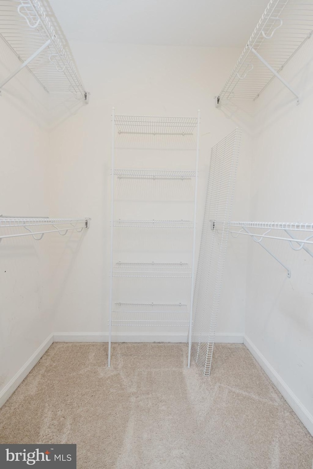103 Stadium Cir, Inwood, WV 25428 - spacious closet with carpet floors