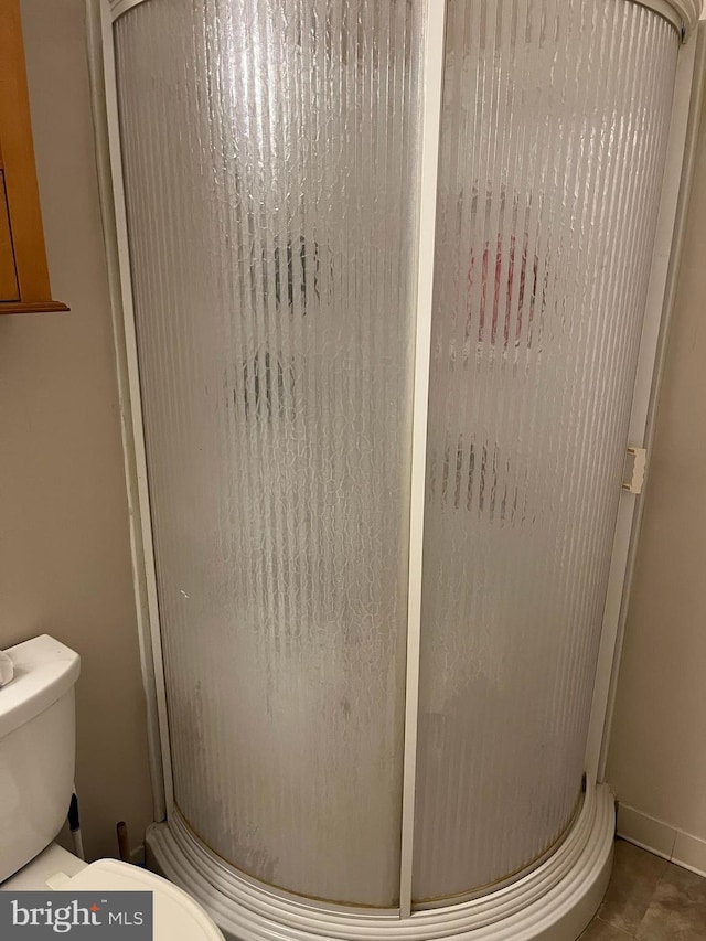 6708 Pauline Ct, Bryans Road, MD 20616 - full bath with toilet and a shower stall