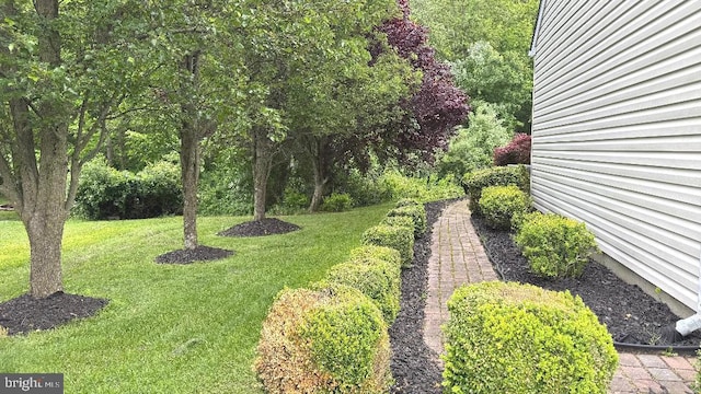 9 Whirlaway Dr, Bear, DE 19701 - view of green lawn