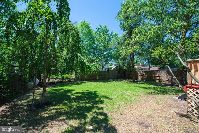 1407 Ruatan St, Hyattsville, MD 20783 - view of yard