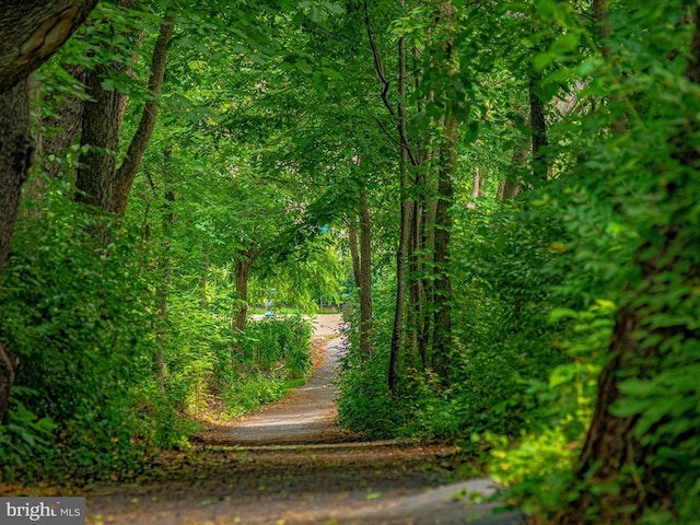 2409 Bear Den Rd, Frederick, MD 21701 - view of community featuring a wooded view
