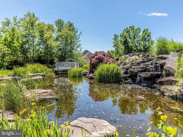 2409 Bear Den Rd, Frederick, MD 21701 - water view with a garden pond