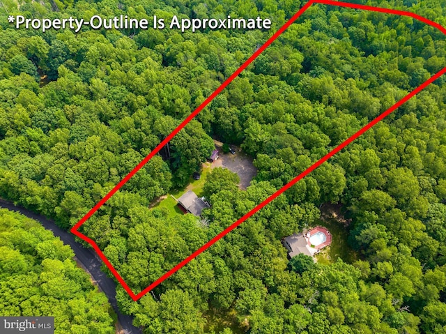 24950 Morgan Rd, Hollywood, MD 20636 - aerial view of property and surrounding area featuring a heavily wooded area and property parcel outlined