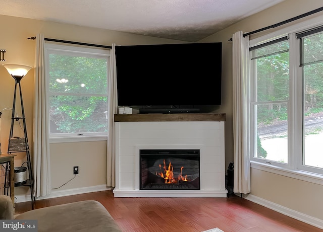 24950 Morgan Rd, Hollywood, MD 20636 - living room featuring a glass covered fireplace, plenty of natural light, wood finished floors, baseboards, and a textured ceiling