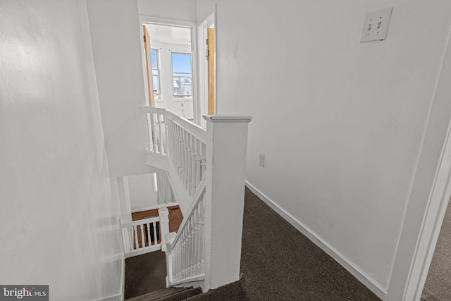 1504 N 57th St, Philadelphia, PA 19131 - stairway with carpet floors and baseboards