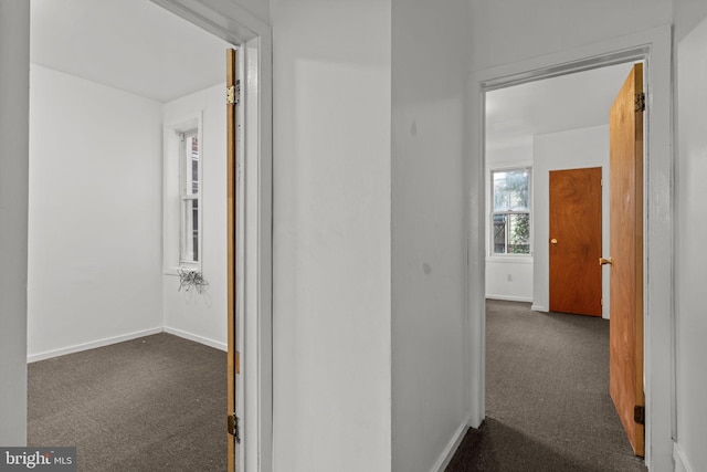 1504 N 57th St, Philadelphia, PA 19131 - hallway with dark carpet and baseboards