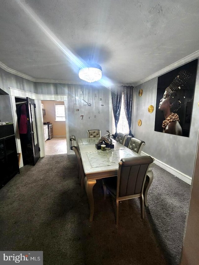6553 N Smedley St, Philadelphia, PA 19126 - dining area with carpet, ornamental molding, and a textured ceiling