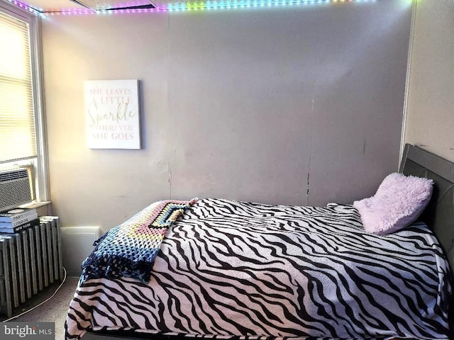 6553 N Smedley St, Philadelphia, PA 19126 - bedroom featuring radiator heating unit