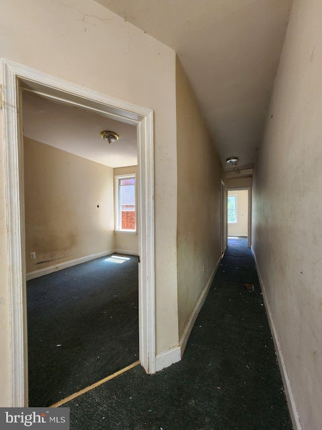 3057 Brighton St, Baltimore, MD 21216 - corridor with carpet floors and baseboards