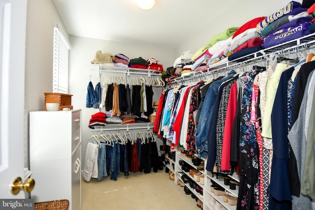 9111 Dartford Pl, Bristow, VA 20136 - spacious closet with carpet flooring