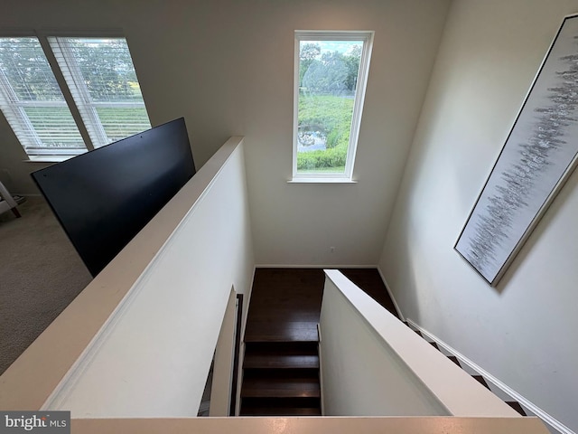 12139 Fallen Timbers Cir, Hagerstown, MD 21740 - stairway featuring healthy amount of natural light