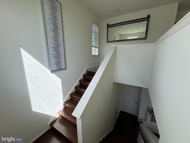 12139 Fallen Timbers Cir, Hagerstown, MD 21740 - stairs with wood finished floors