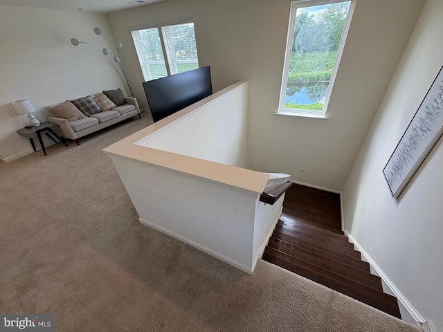 12139 Fallen Timbers Cir, Hagerstown, MD 21740 - stairway featuring healthy amount of natural light, baseboards, wood finished floors, and carpet