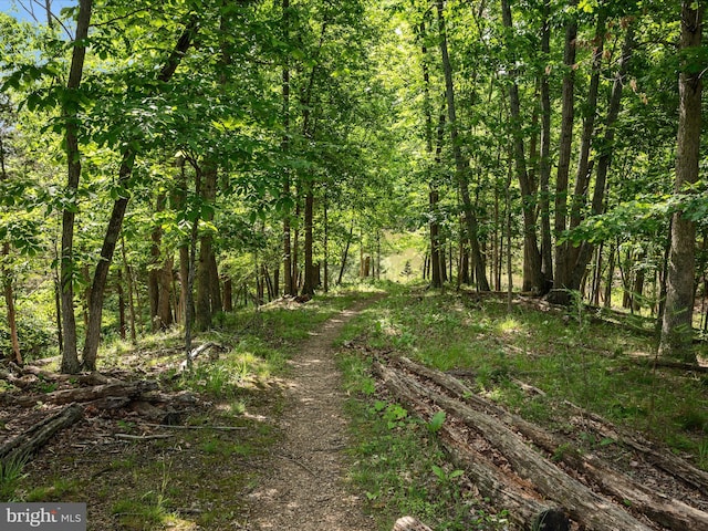 130 Grosbeak Ct, Lake Frederick, VA 22630 - view of woods