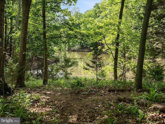130 Grosbeak Ct, Lake Frederick, VA 22630 - view of woods featuring a water view