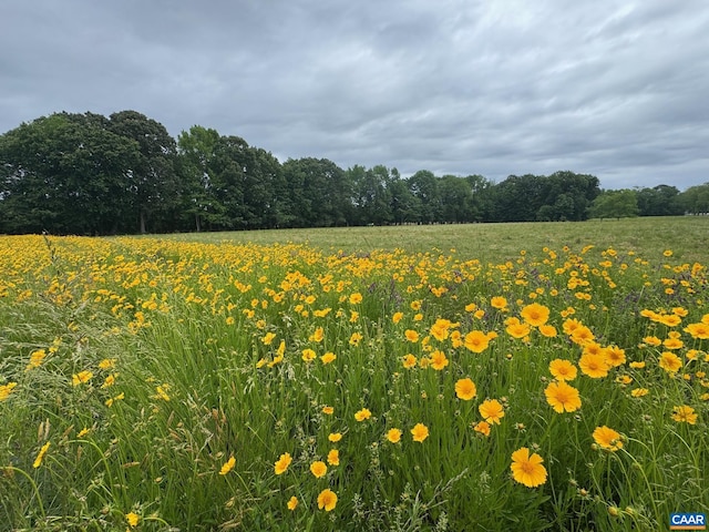 TBD Pecan Ln, Cardinal, VA 23025