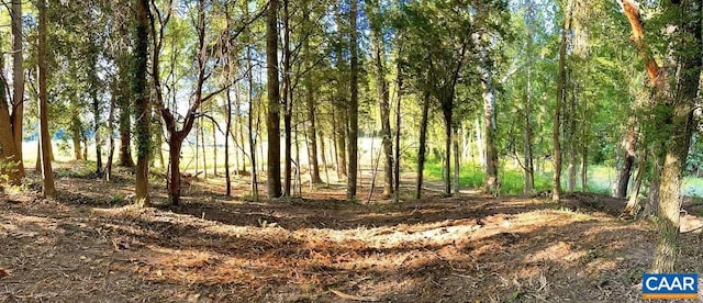 TBD Pecan Ln, Cardinal, VA 23025