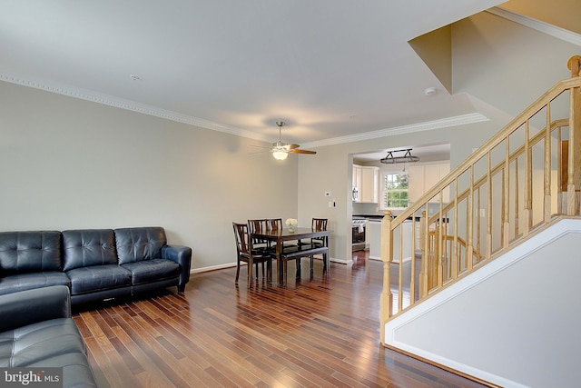 242 Tilden Way Unit 7242, Edgewater, MD 21037 - living area with stairs, ceiling fan, dark wood-type flooring, and ornamental molding