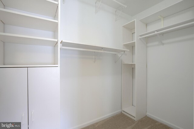 242 Tilden Way Unit 7242, Edgewater, MD 21037 - spacious closet featuring carpet