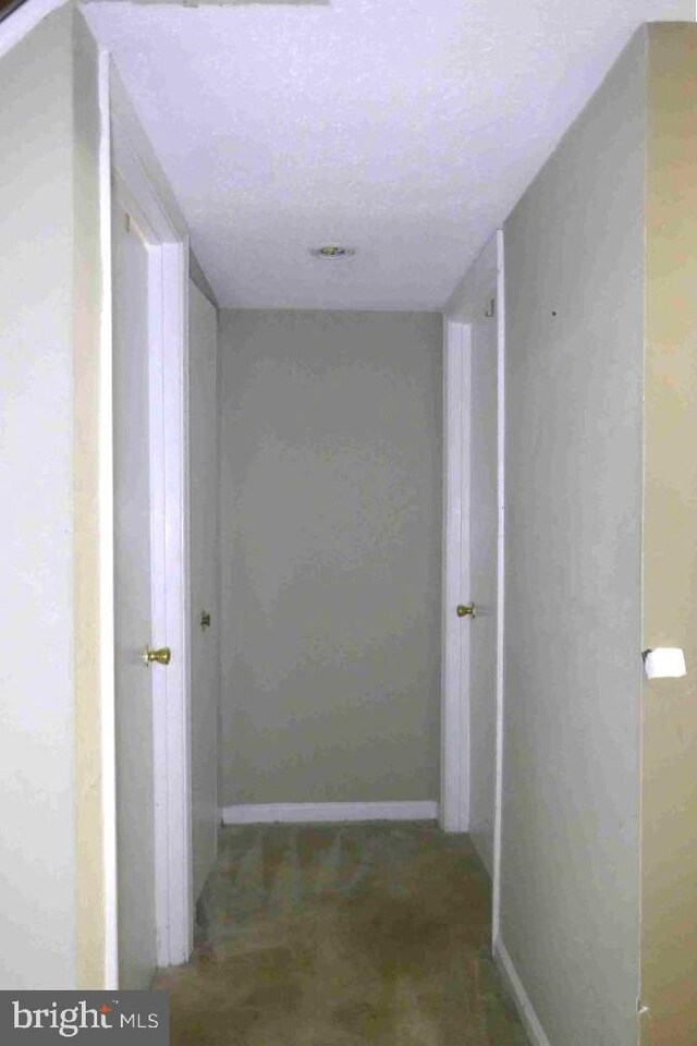 1647 Carriage House Ter Unit 1647-C, Silver Spring, MD 20904 - corridor with baseboards