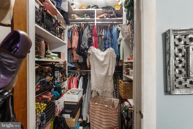 126 Dunsinane Dr, New Castle, DE 19720 - view of walk in closet