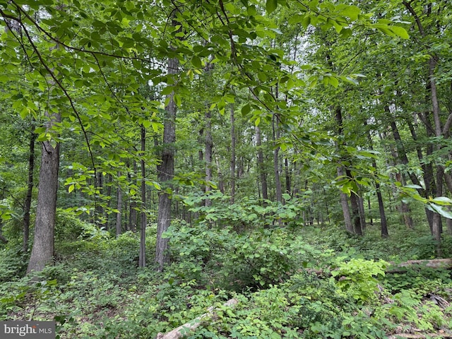 LOT12 Raccoon Dr, Winchester, VA 22602