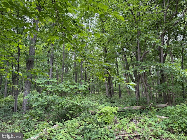 LOT12 Raccoon Dr, Winchester, VA 22602