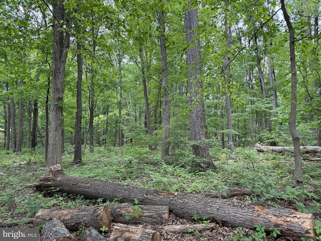 LOT12 Raccoon Dr, Winchester, VA 22602