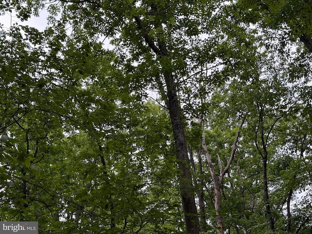 LOT12 Raccoon Dr, Winchester, VA 22602