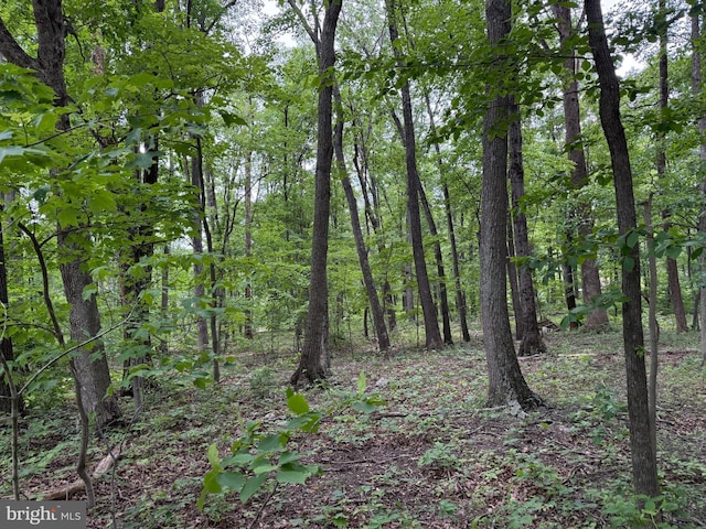LOT12 Raccoon Dr, Winchester, VA 22602