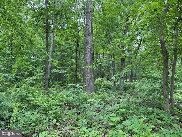LOT12 Raccoon Dr, Winchester, VA 22602